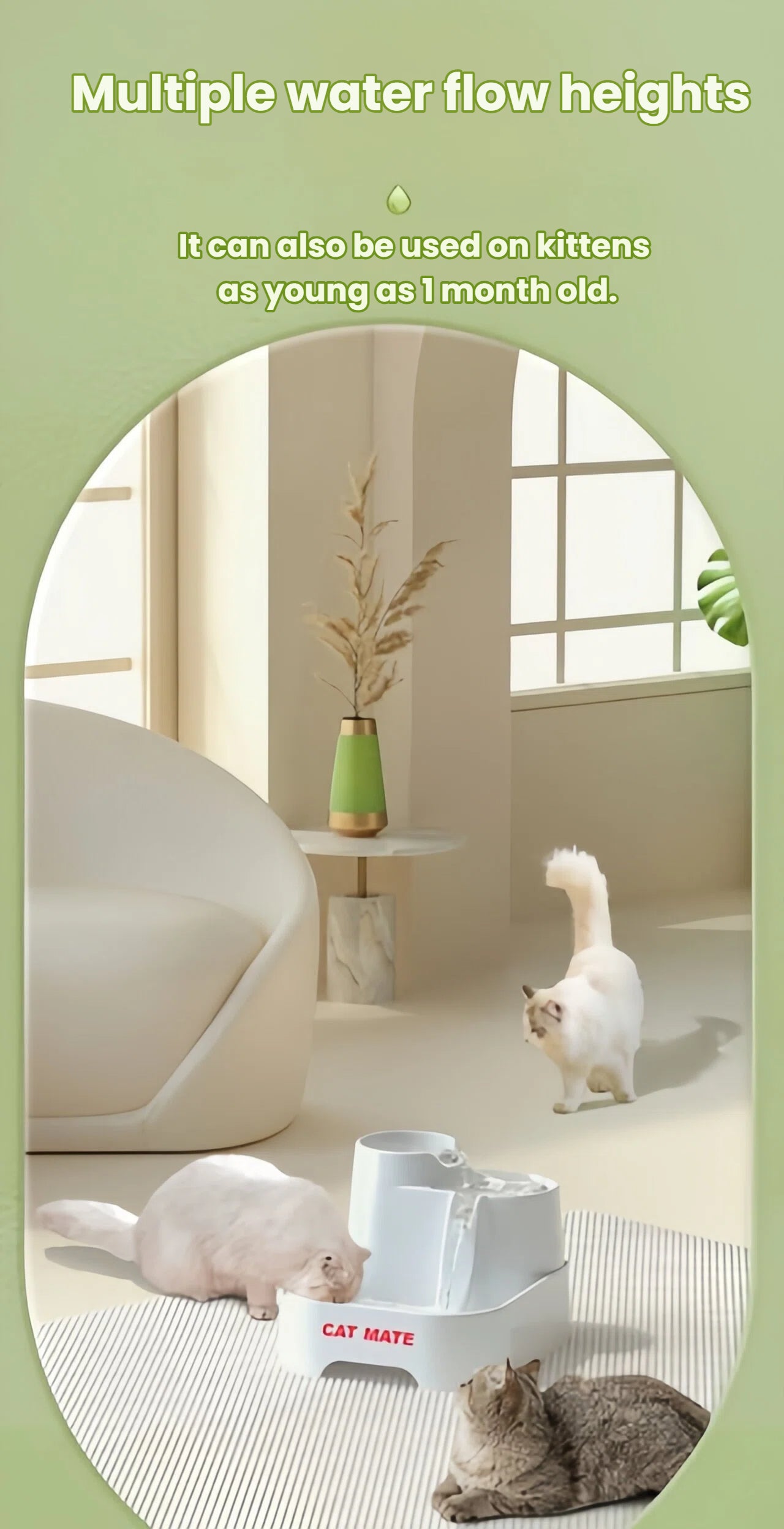 Cat Mate pet water fountain with multiple water flow heights, suitable for kittens and adult cats — promotes healthy drinking habits in modern homes